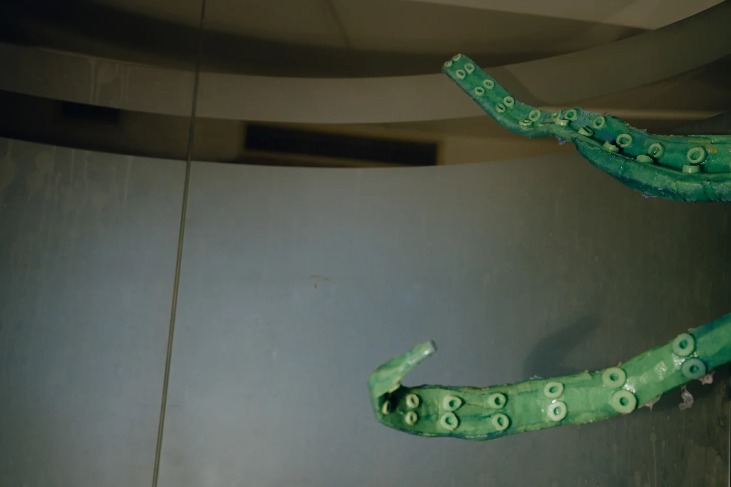 秋和柯基 - 触手 [155P,1V-3.47GB]  tg@simisebaisi 【丝足阁】13.webp